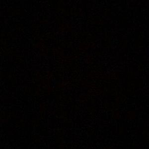 Everything in my closet